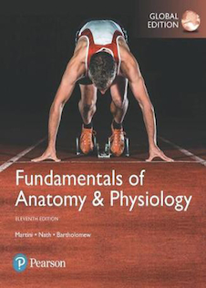 عکس Fundamentals of Anatomy - Physiology (11th edition) [Paperback Global Edition] [Paperback] [Jan 01, 2018] Frederic H. Martini (author), Judi L. Nath (author), Edwin F.