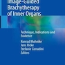 Manual on Image-Guided Brachytherapy of Inner Organs : Technique, Indications and Evidence