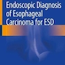 Endoscopic Diagnosis of Esophageal Carcinoma for ESD