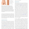Atlas of Abdominoplasty