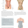 Atlas of Abdominoplasty