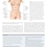 Atlas of Abdominoplasty