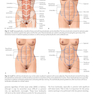 Atlas of Abdominoplasty