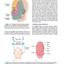 Lange Clinical Neurology, 11th Edition