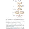 کتاب Gene Cloning and DNA Analysis: An Introduction