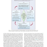 Critical Care Nursing : Diagnosis and Management 2022