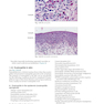 Practical Dermatopathology2021