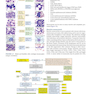 Atlas of Differential Diagnosis in Neoplastic Hematopathology2021