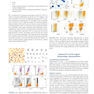 Atlas of Differential Diagnosis in Neoplastic Hematopathology2021