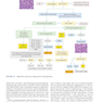 Atlas of Differential Diagnosis in Neoplastic Hematopathology2021