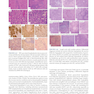 Atlas of Differential Diagnosis in Neoplastic Hematopathology2021