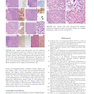 Atlas of Differential Diagnosis in Neoplastic Hematopathology2021