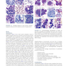 Atlas of Differential Diagnosis in Neoplastic Hematopathology2021