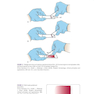 Clinical Hematology Atlas 6th Edicion 2022