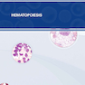Clinical Hematology Atlas 6th Edicion 2022