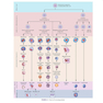 Clinical Hematology Atlas 6th Edicion 2022