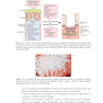 Clinical Cases in Internal Medicine