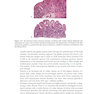 Clinical Cases in Internal Medicine