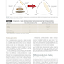Introduction to Metal-Ceramic Technology