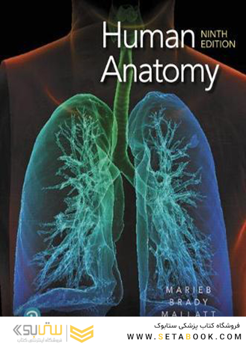 Human Anatomy2019