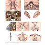 Atlas of Cone Beam Computed Tomography 2022