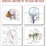 Surgical Anatomy of the Head and Neck