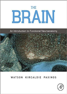 عکس The Brain: An Introduction to Functional Neuroanatomy 1st Edición