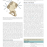 Plastic Surgery : Volume 4: Trunk and Lower Extremity 4th Edicion 2018