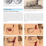Plastic Surgery : Volume 1 Principles 4th Edicion 2018