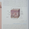 مبانی و کلیات مراقبت از زخم استومی و بی اختیاری