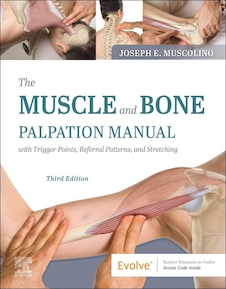 عکس The Muscle and Bone Palpation Manual with Trigger Points, Referral Patterns and Stretching 3rd Edición