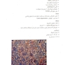درسنامه طلایی پاتولوژی ( جلددوم )