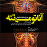 آناتومی تنه همراه با نکات بالینی