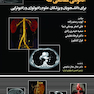 آناتومی مقطعی تنه رستم زاده