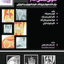 آناتومی مقطعی اندام رستم زاده