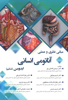 عکس مبانی نظری و عملی آناتومی انسانی ابدومن شکم