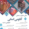 مبانی نظری و عملی آناتومی انسانی ابدومن شکم