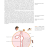 Ryan - Sherris Medical Microbiology, Eighth Edition 2022