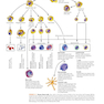 Ryan - Sherris Medical Microbiology, Eighth Edition 2022