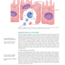 Ryan - Sherris Medical Microbiology, Eighth Edition 2022