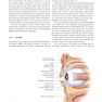 Master Techniques in Blepharoplasty and Periorbital Rejuvenation