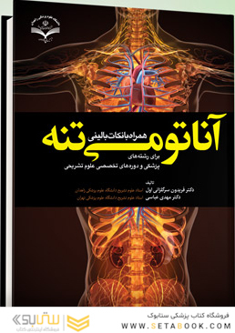 آناتومی تنه همراه با نکات بالینی