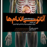 آناتومی اندام ها همراه با نکات بالینی