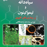 اثرات مفید سیاهدانه و تیموکینون بر بیماریهای کلیوی