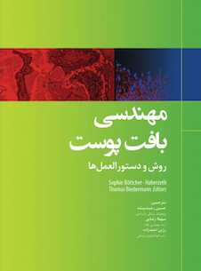 عکس مهندسی بافت پوست روش و دستورالعمل ها