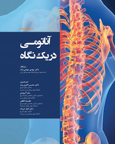 عکس آناتومی دریک نگاه