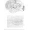 Research Methods for Cognitive Neuroscience