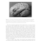 Research Methods for Cognitive Neuroscience