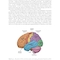 Research Methods for Cognitive Neuroscience