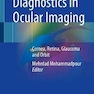 Diagnostics in Ocular Imaging: Cornea, Retina, Glaucoma and Orbit